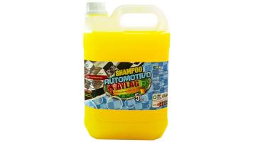 Shampoo Automotivo 5l Aylag