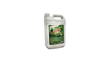 Limpador Perfumado 5l Aylag Citronela - 267