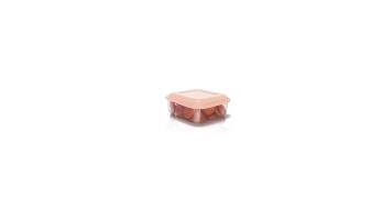 Pote Quadr Erca 750ml - 540
